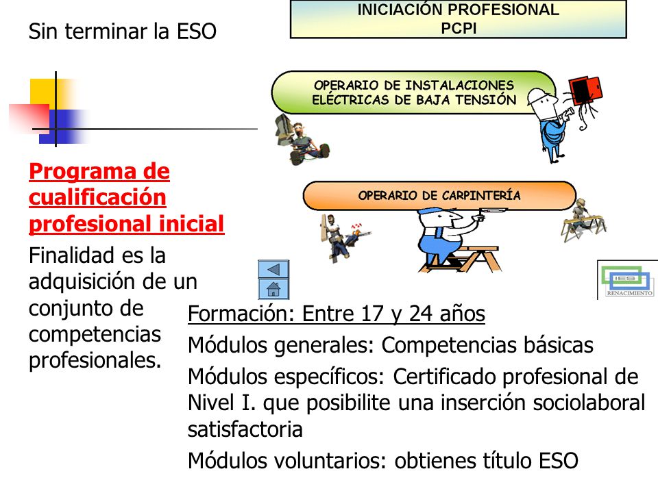 Sin terminar la ESO Programa de cualificación profesional inicial. Finalidad es la adquisición de un conjunto de competencias profesionales.