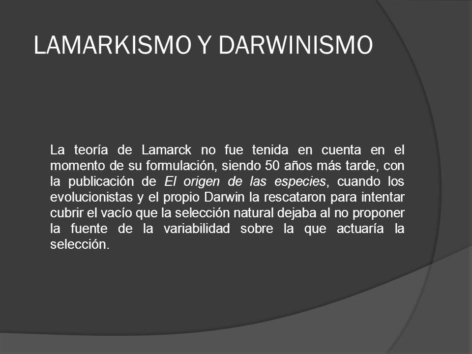 LAMARKISMO Y DARWINISMO