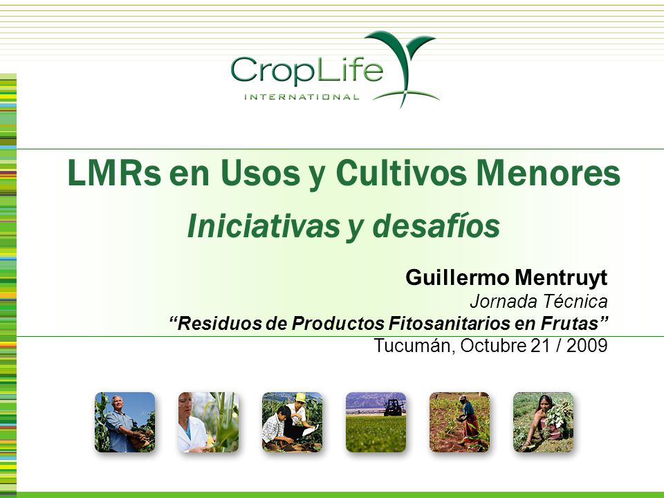 LMRs en Usos y Cultivos Menores Iniciativas y desafíos