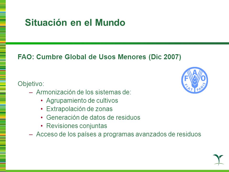 Situación en el Mundo FAO: Cumbre Global de Usos Menores (Dic 2007)