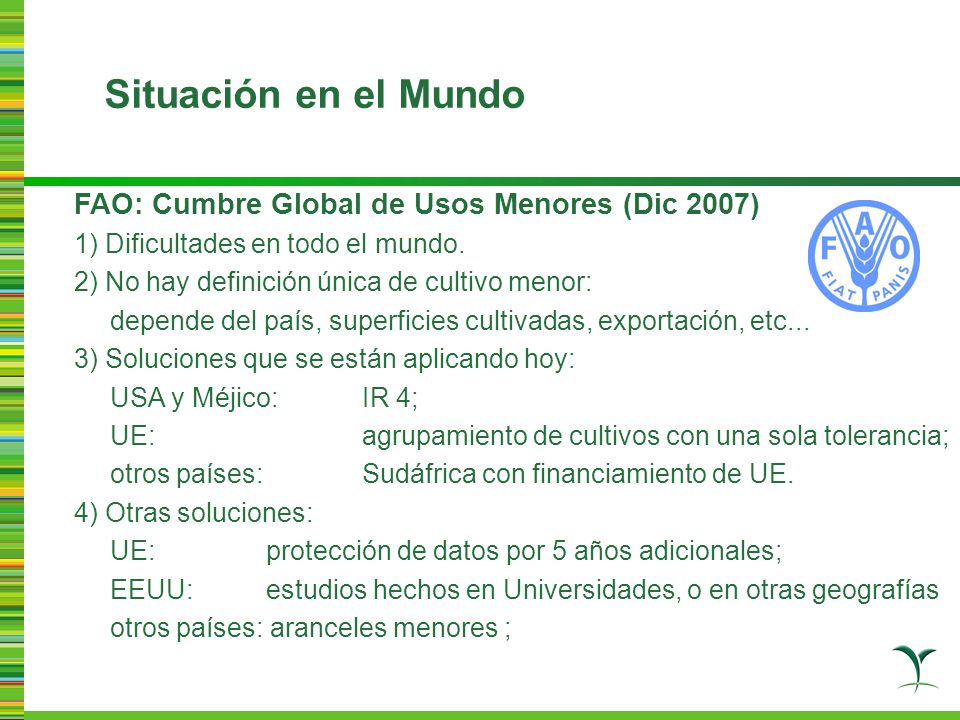 Situación en el Mundo FAO: Cumbre Global de Usos Menores (Dic 2007)