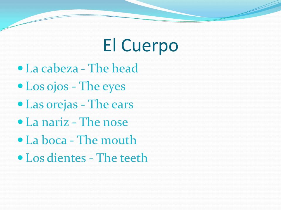 El Cuerpo La cabeza - The head Los ojos - The eyes
