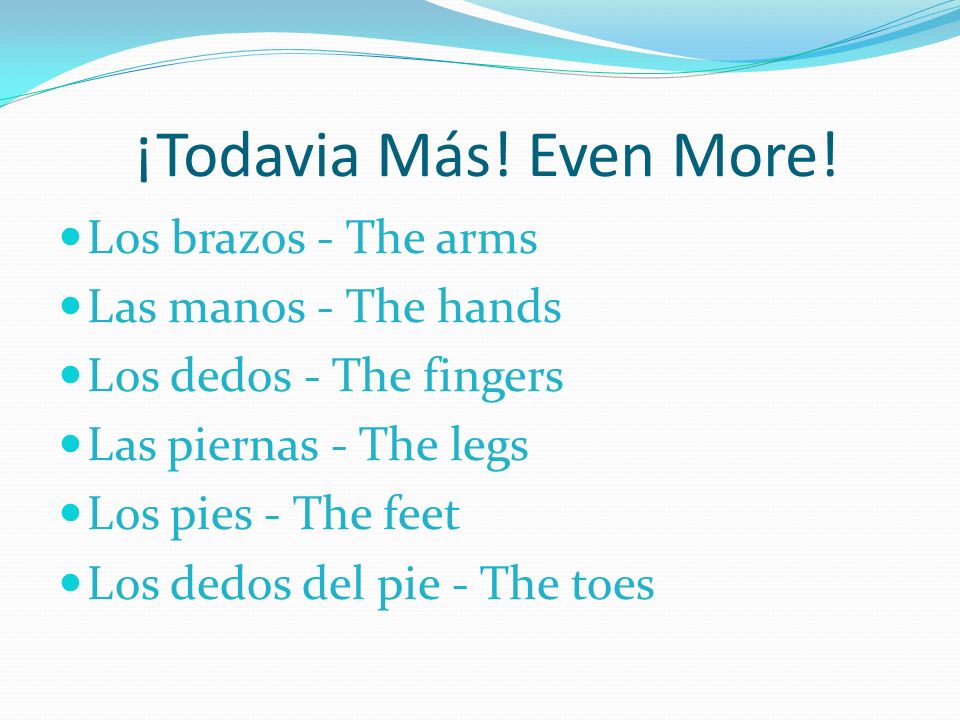 ¡Todavia Más! Even More! Los brazos - The arms Las manos - The hands