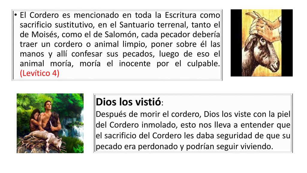 El Cordero es mencionado en toda la Escritura como sacrificio sustitutivo, en el Santuario terrenal, tanto el de Moisés, como el de Salomón, cada pecador debería traer un cordero o animal limpio, poner sobre él las manos y allí confesar sus pecados, luego de eso el animal moría, moría el inocente por el culpable. (Levítico 4)