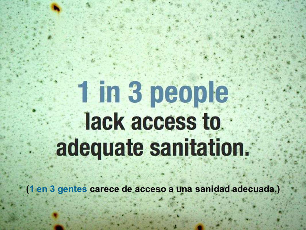 (1 en 3 gentes carece de acceso a una sanidad adecuada.)
