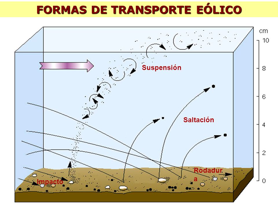 FORMAS DE TRANSPORTE EÓLICO