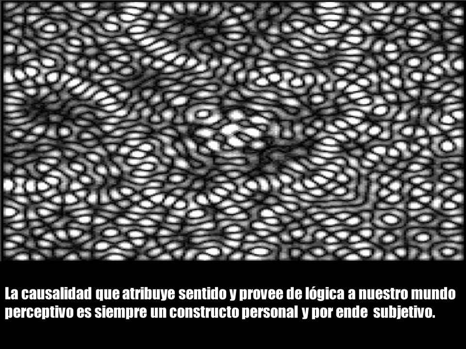 La causalidad que atribuye sentido y provee de lógica a nuestro mundo