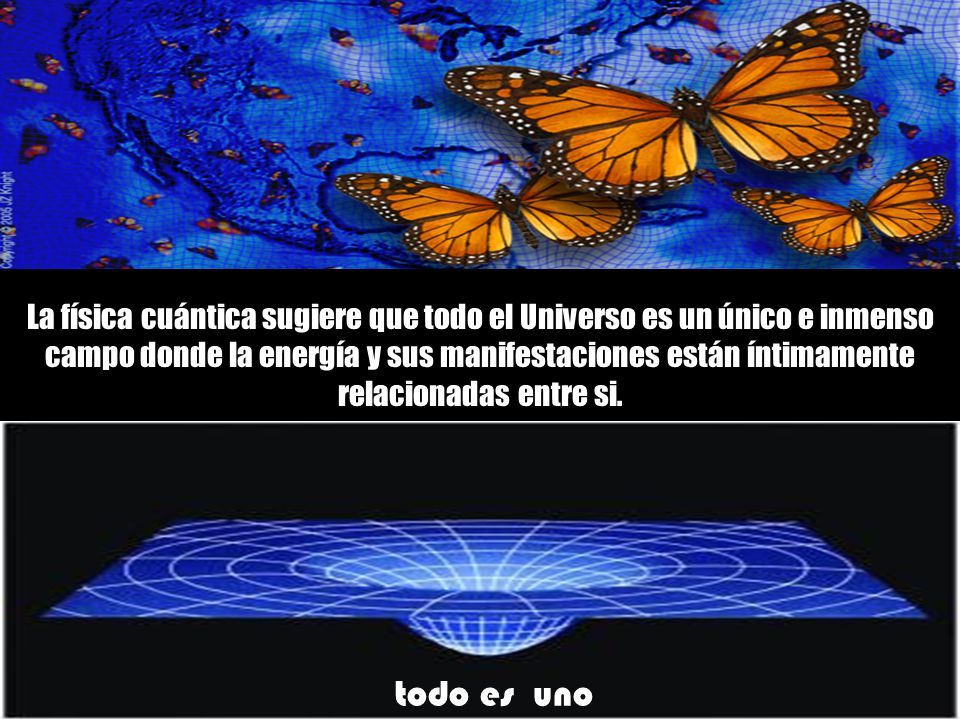 La física cuántica sugiere que todo el Universo es un único e inmenso campo donde la energía y sus manifestaciones están íntimamente relacionadas entre si.