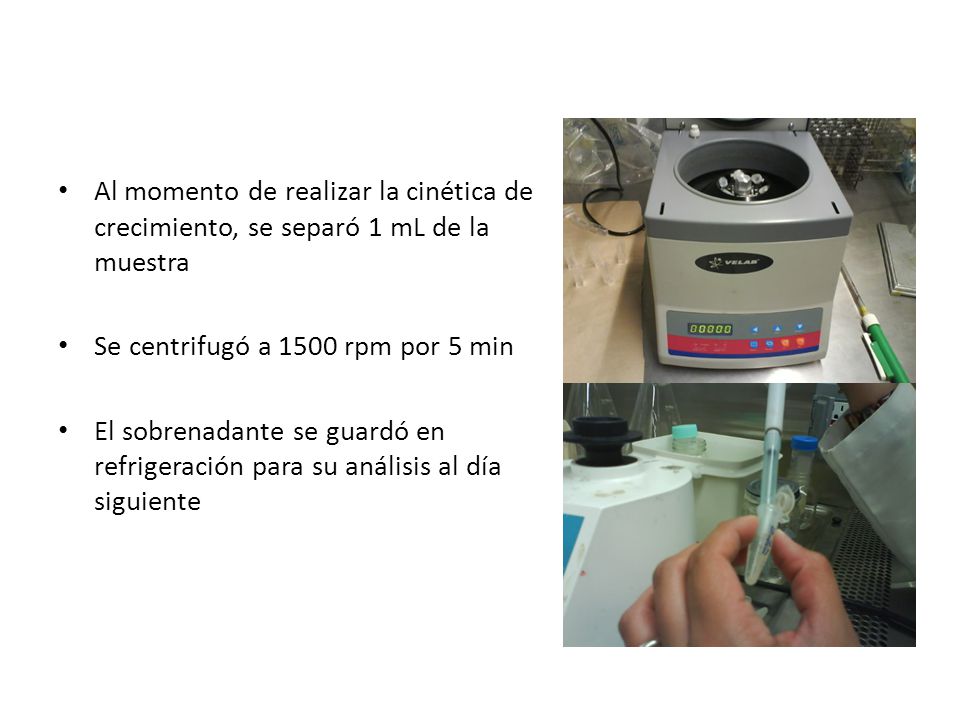 Al momento de realizar la cinética de crecimiento, se separó 1 mL de la muestra