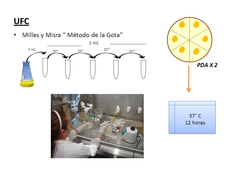 UFC Milles y Misra Método de la Gota PDA X 2 37° C 12 horas 1 mL
