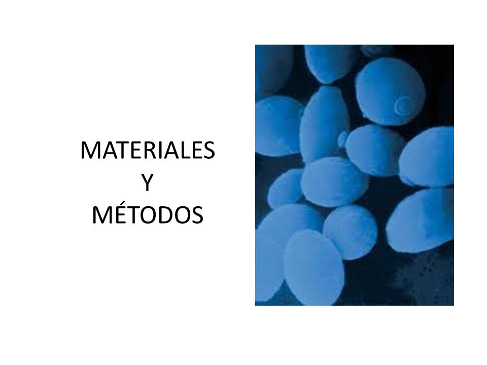 MATERIALES Y MÉTODOS