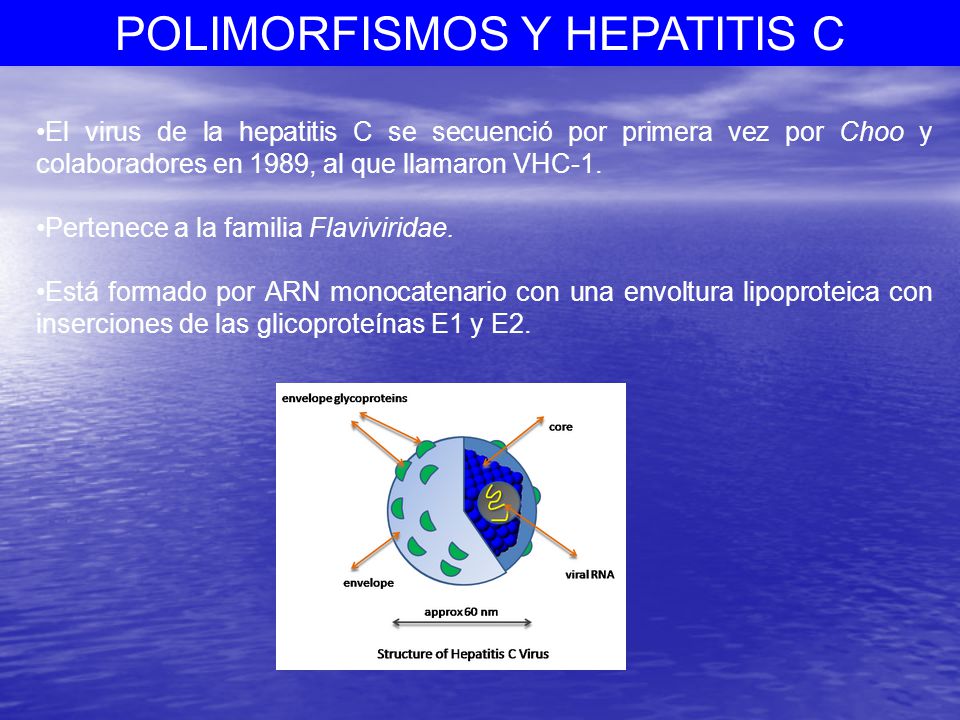El virus de la hepatitis C se secuenció por primera vez por Choo y colaboradores en 1989, al que llamaron VHC-1.