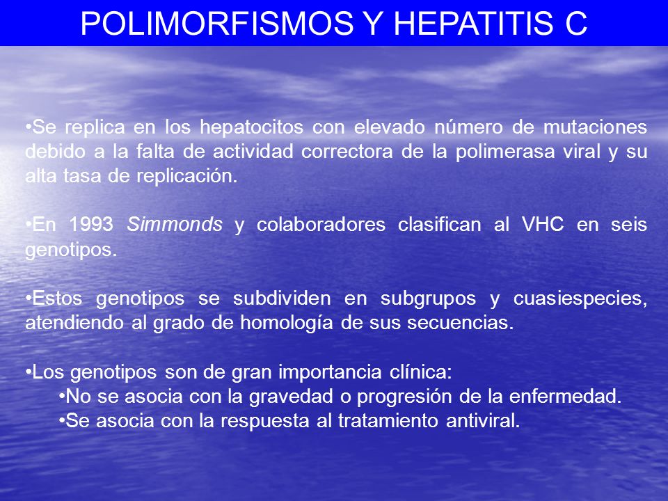 Se replica en los hepatocitos con elevado número de mutaciones debido a la falta de actividad correctora de la polimerasa viral y su alta tasa de replicación.