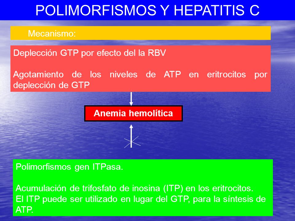 Mecanismo: Deplección GTP por efecto del la RBV. Agotamiento de los niveles de ATP en eritrocitos por deplección de GTP.