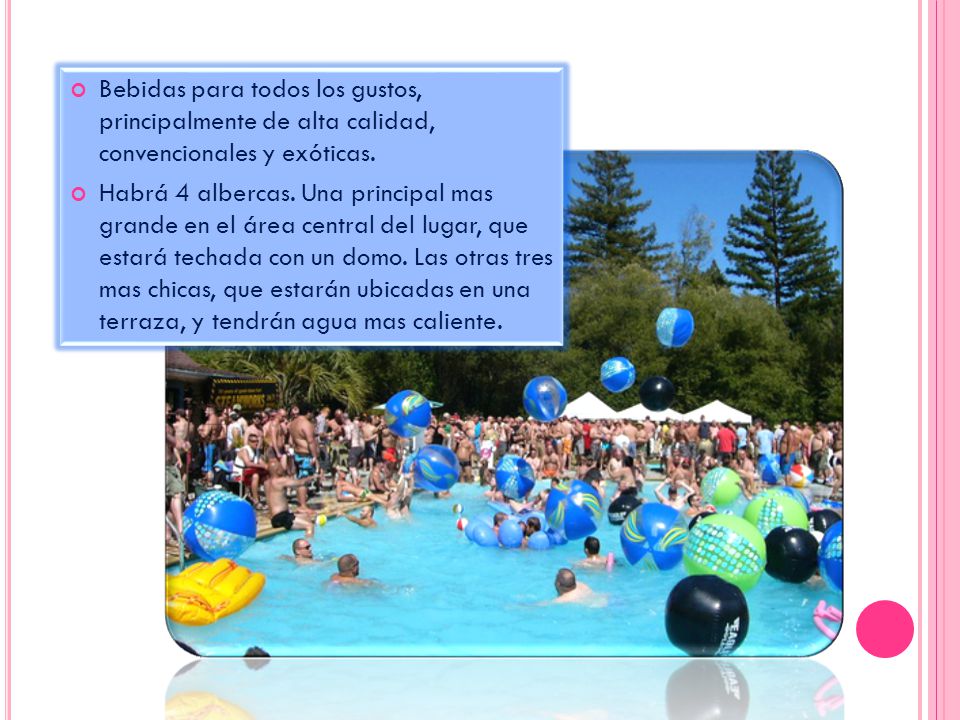 Bebidas para todos los gustos, principalmente de alta calidad, convencionales y exóticas.