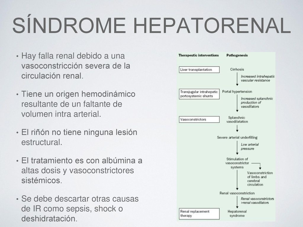 Síndrome Hepatorenal Hay falla renal debido a una vasoconstricción severa de la circulación renal.