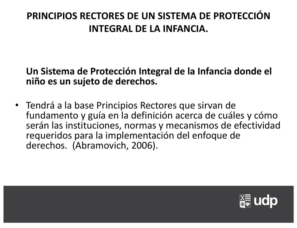 PRINCIPIOS RECTORES DE UN SISTEMA DE PROTECCIÓN INTEGRAL DE LA INFANCIA.