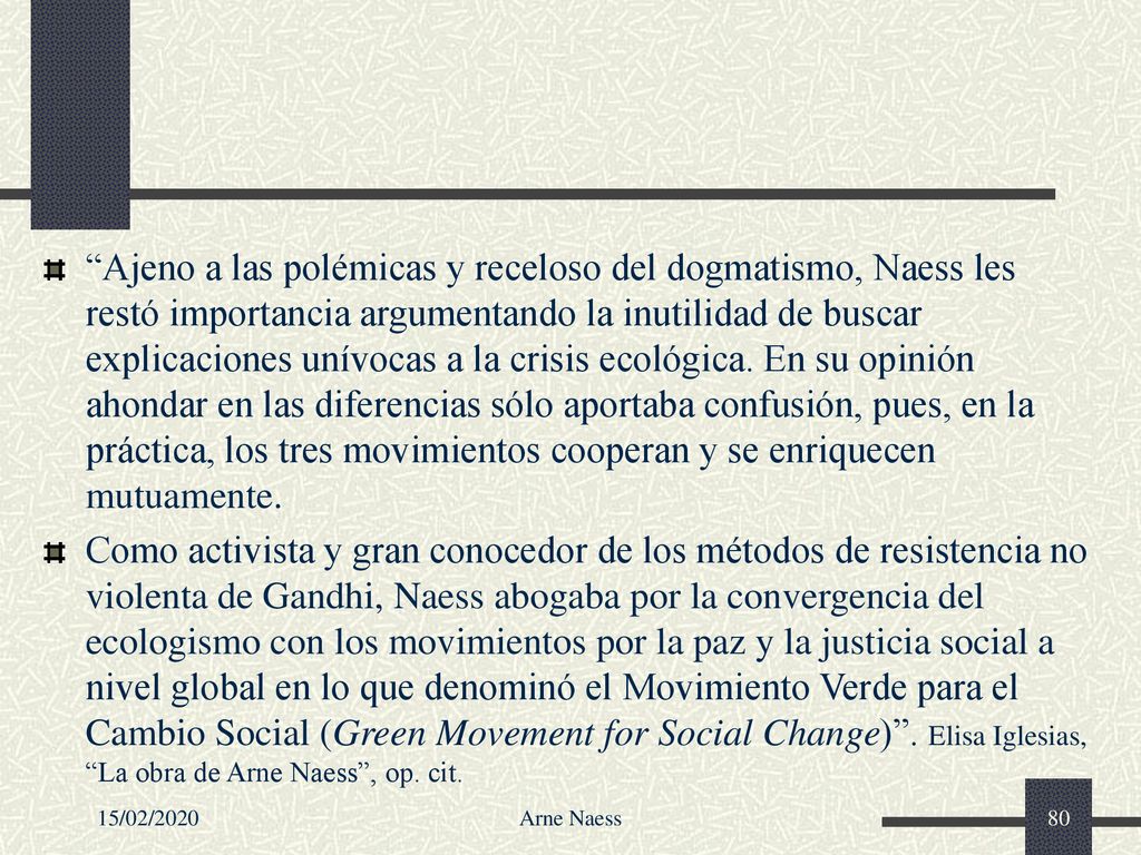 Ajeno a las polémicas y receloso del dogmatismo, Naess les restó importancia argumentando la inutilidad de buscar explicaciones unívocas a la crisis ecológica. En su opinión ahondar en las diferencias sólo aportaba confusión, pues, en la práctica, los tres movimientos cooperan y se enriquecen mutuamente.