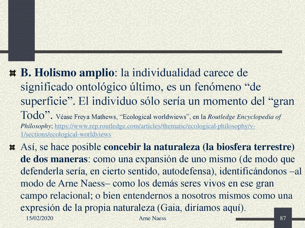 B. Holismo amplio: la individualidad carece de significado ontológico último, es un fenómeno de superficie . El individuo sólo sería un momento del gran Todo . Véase Freya Mathews, Ecological worldwiews , en la Routledge Encyclopedia of Philosophy;