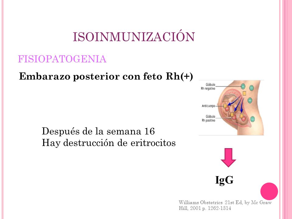 ISOINMUNIZACIÓN IgG FISIOPATOGENIA Embarazo posterior con feto Rh(+)