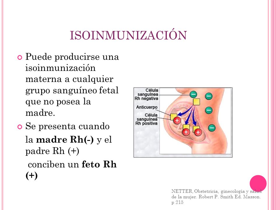 ISOINMUNIZACIÓN Puede producirse una isoinmunización materna a cualquier grupo sanguíneo fetal que no posea la madre.