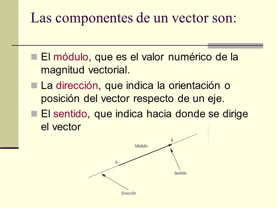 Las componentes de un vector son:
