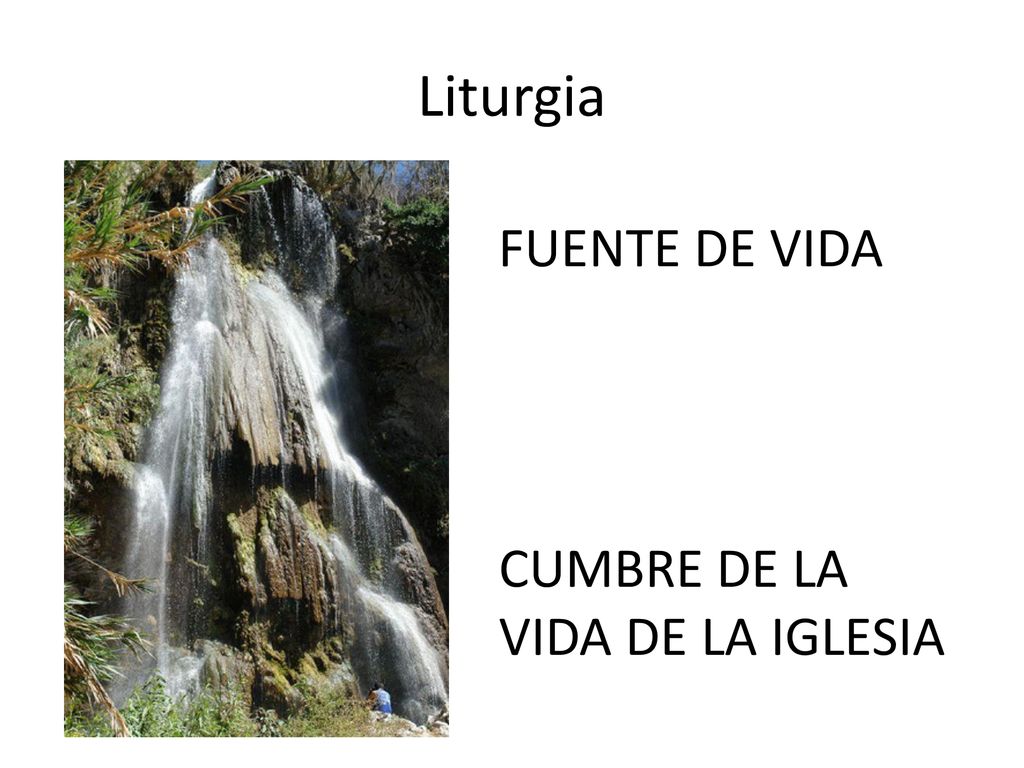 Liturgia FUENTE DE VIDA CUMBRE DE LA VIDA DE LA IGLESIA