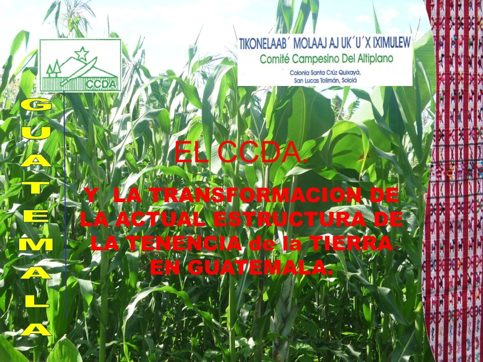 EL CCDA. Y LA TRANSFORMACION DE LA ACTUAL ESTRUCTURA DE LA TENENCIA de la TIERRA EN GUATEMALA.