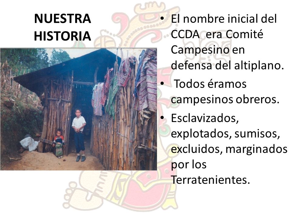 NUESTRA HISTORIA El nombre inicial del CCDA era Comité Campesino en defensa del altiplano. Todos éramos campesinos obreros.