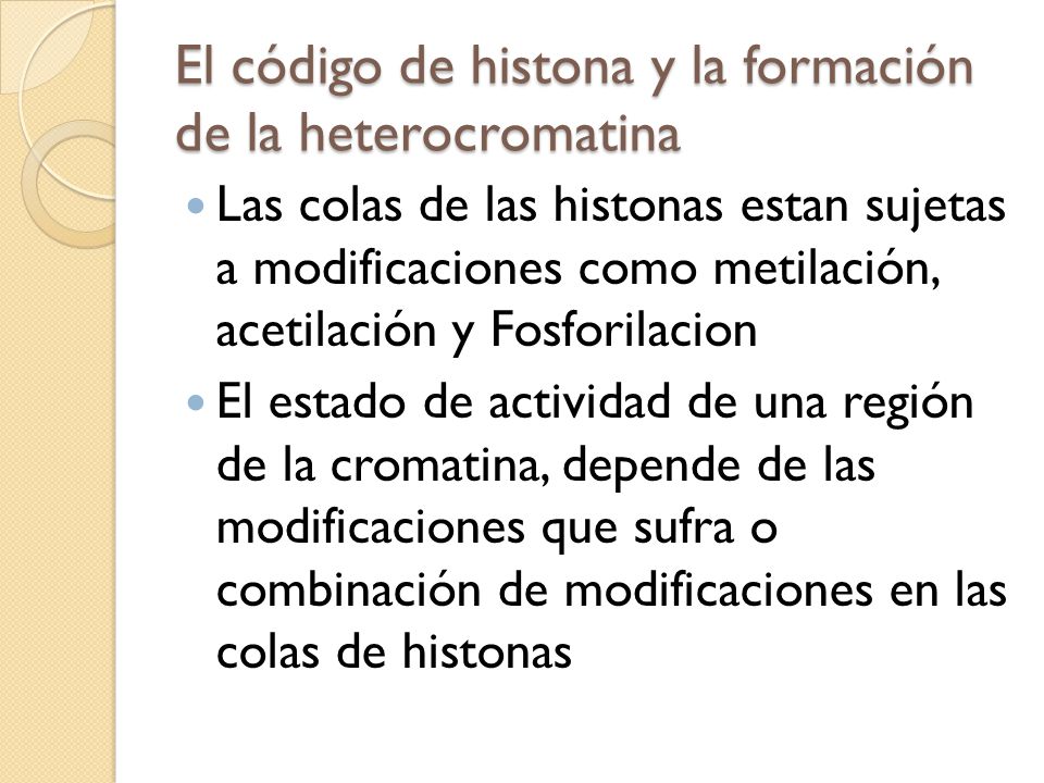 El código de histona y la formación de la heterocromatina