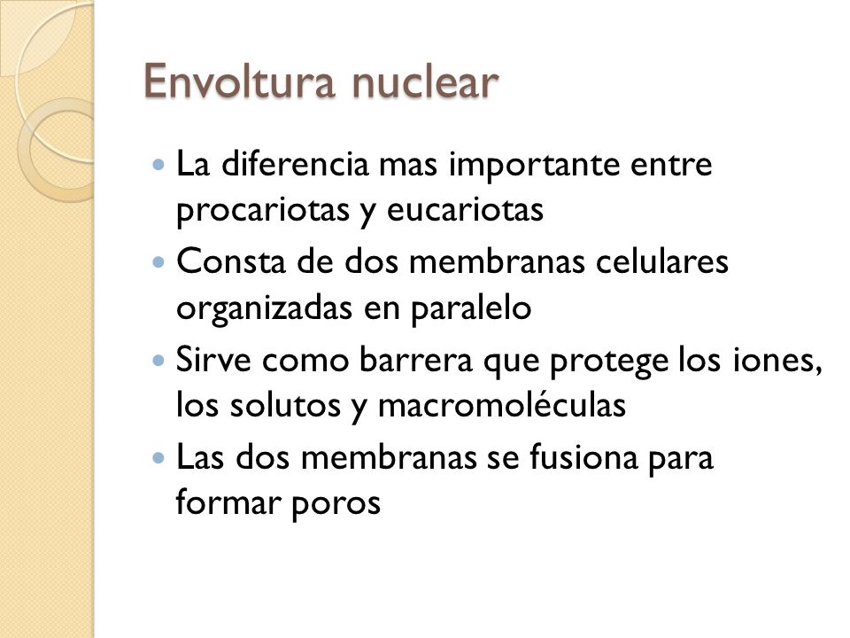 Envoltura nuclear La diferencia mas importante entre procariotas y eucariotas. Consta de dos membranas celulares organizadas en paralelo.