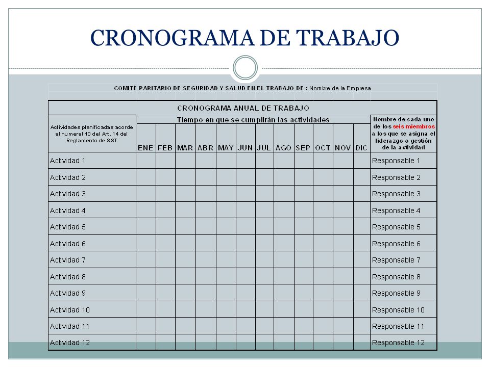 CRONOGRAMA DE TRABAJO