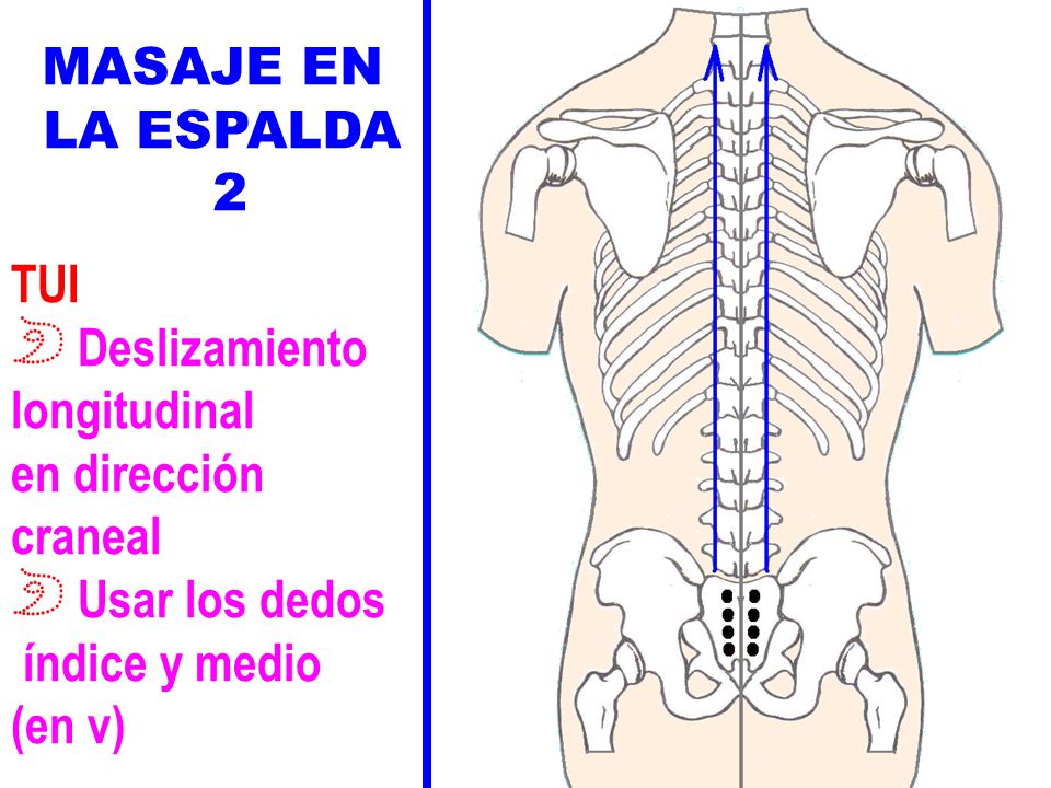 MASAJE EN LA ESPALDA 2. TUI. Deslizamiento. longitudinal. en dirección. craneal. Usar los dedos.