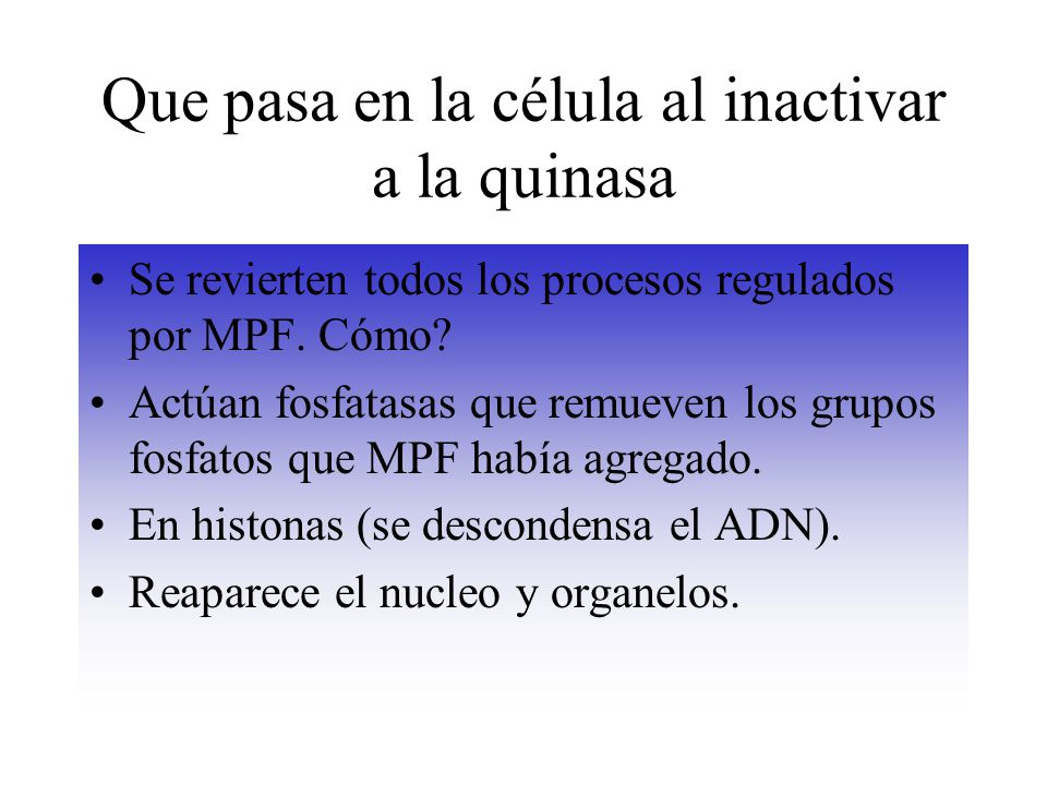 Que pasa en la célula al inactivar a la quinasa