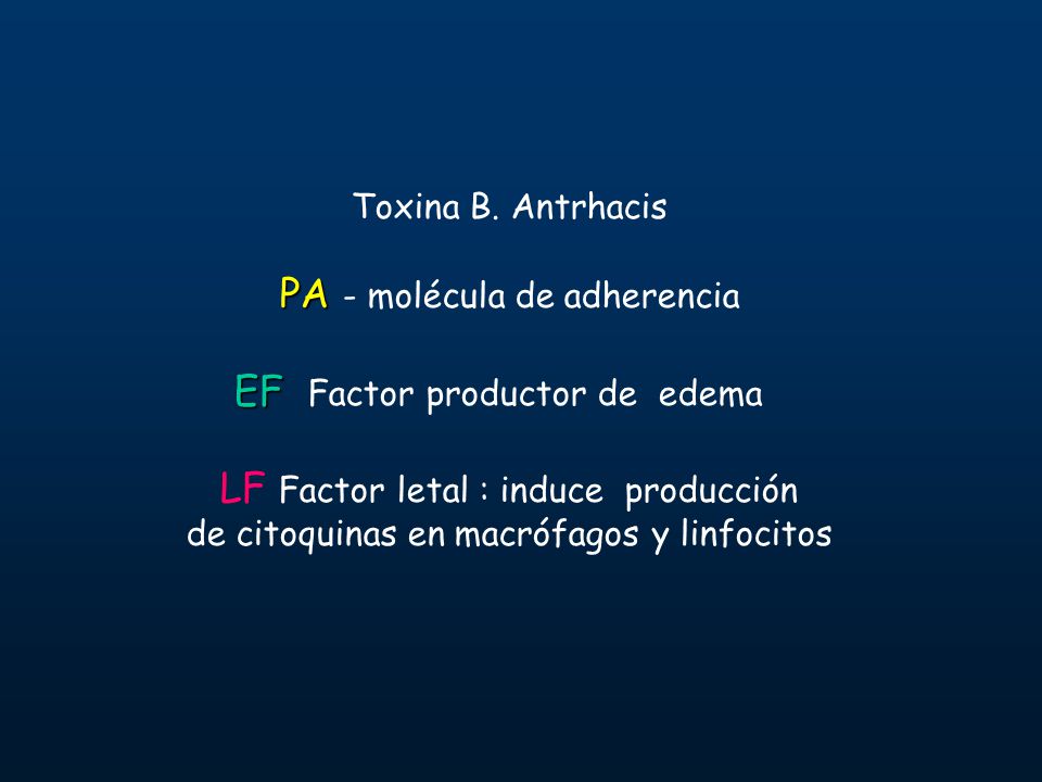 PA - molécula de adherencia EF Factor productor de edema