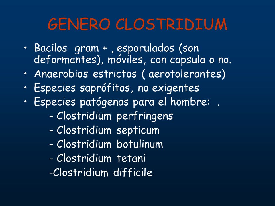 GENERO CLOSTRIDIUM Bacilos gram + , esporulados (son deformantes), móviles, con capsula o no. Anaerobios estrictos ( aerotolerantes)