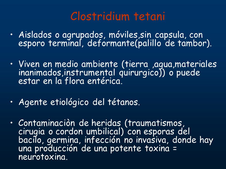 Clostridium tetani Aislados o agrupados, móviles,sin capsula, con esporo terminal, deformante(palillo de tambor).