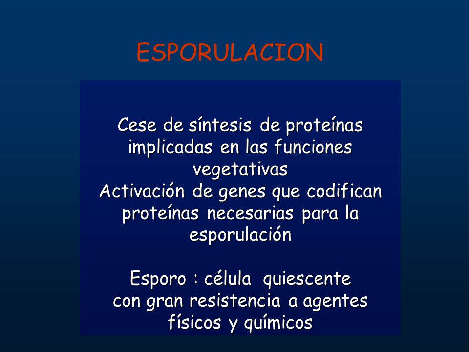ESPORULACION Cese de síntesis de proteínas implicadas en las funciones vegetativas.