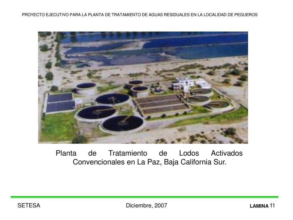 PROYECTO EJECUTIVO PARA LA PLANTA DE TRATAMIENTO DE AGUAS RESIDUALES EN LA LOCALIDAD DE PEGUEROS