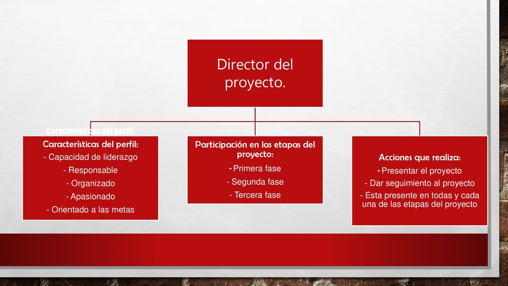 Director del proyecto. Participación en las etapas del proyecto: