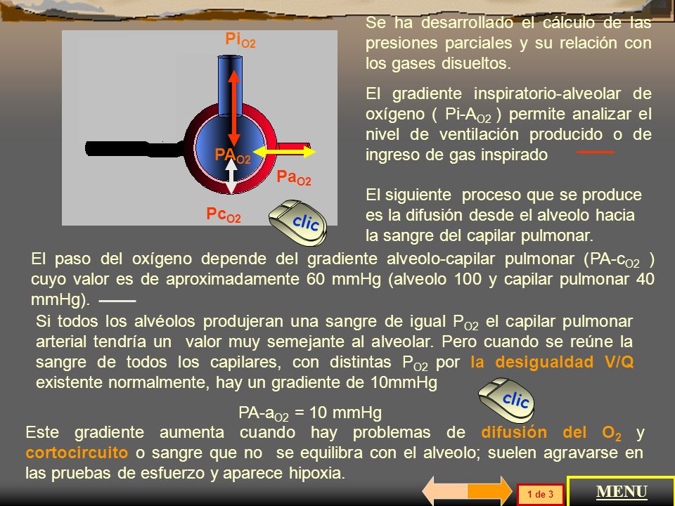 Se ha desarrollado el cálculo de las presiones parciales y su relación con los gases disueltos.