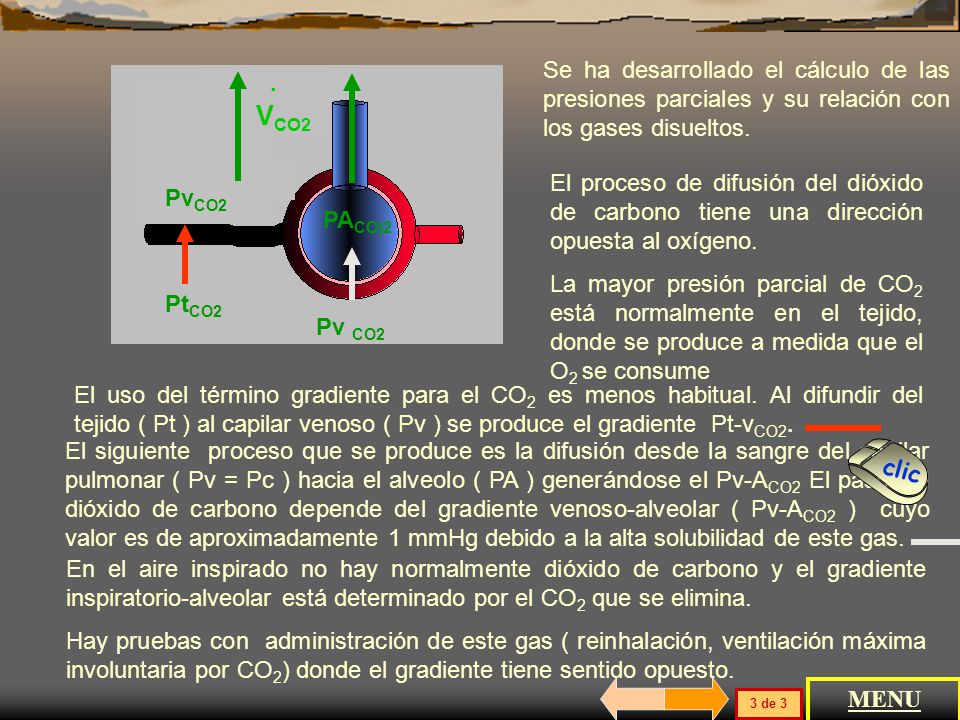 Se ha desarrollado el cálculo de las presiones parciales y su relación con los gases disueltos.