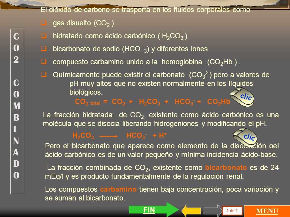 El dióxido de carbono se trasporta en los fluidos corporales como