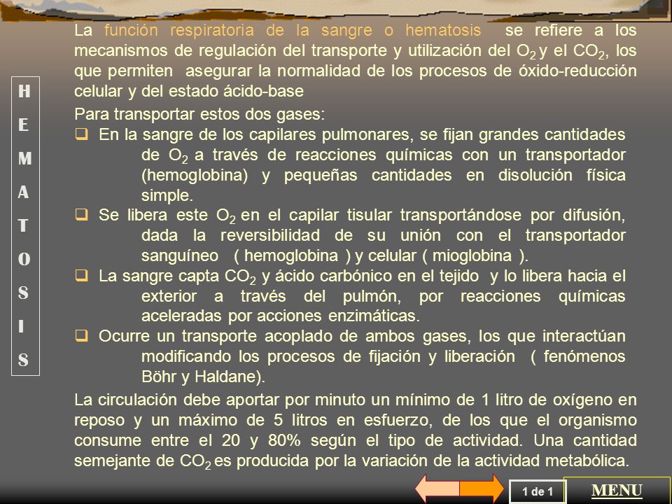 La función respiratoria de la sangre o hematosis se refiere a los mecanismos de regulación del transporte y utilización del O2 y el CO2, los que permiten asegurar la normalidad de los procesos de óxido-reducción celular y del estado ácido-base