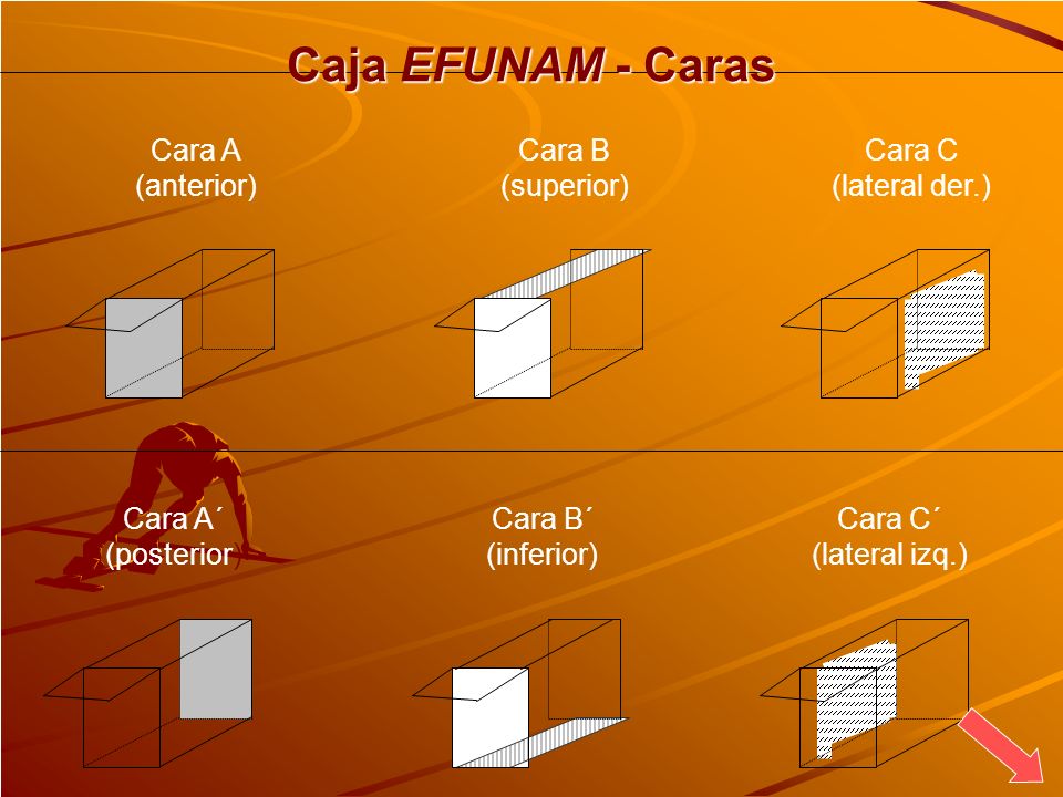 Caja EFUNAM - Caras Cara A (anterior) Cara B (superior) Cara C