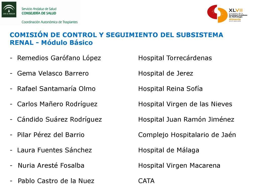 COMISIÓN DE CONTROL Y SEGUIMIENTO DEL SUBSISTEMA RENAL - Módulo Básico