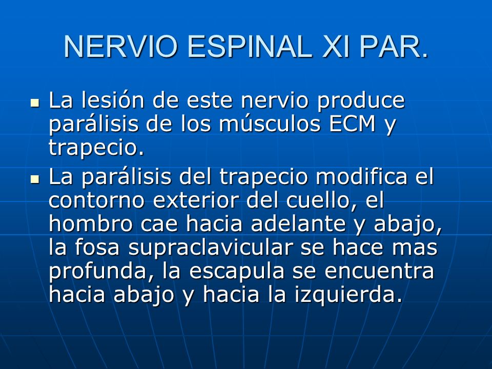 NERVIO ESPINAL XI PAR. La lesión de este nervio produce parálisis de los músculos ECM y trapecio.