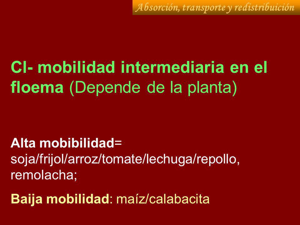 Cl- mobilidad intermediaria en el floema (Depende de la planta)