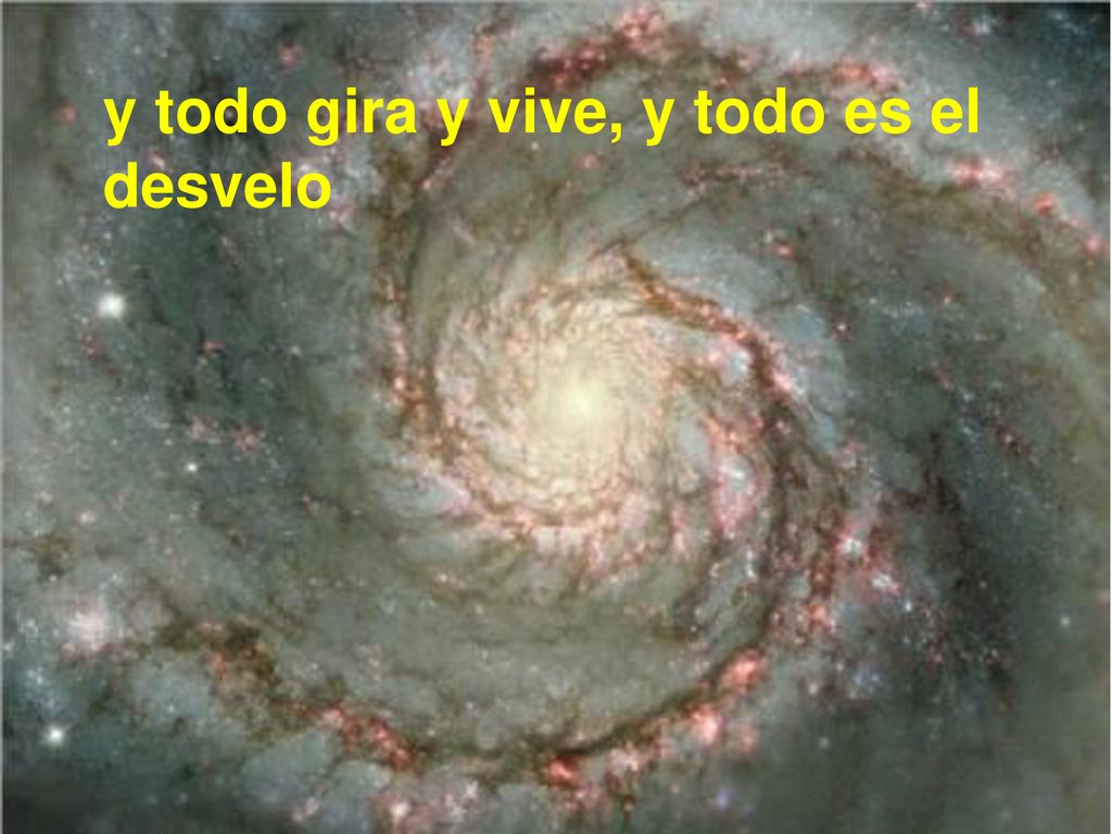y todo gira y vive, y todo es el desvelo