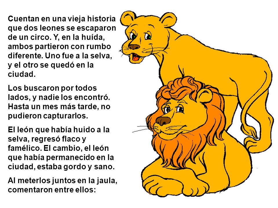 Los leones del circo” Miguel-A.. - ppt descargar